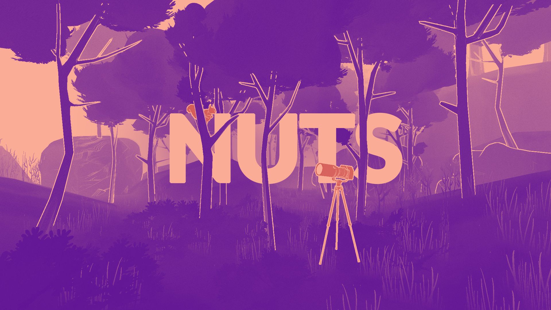 NUTS - Switch Review