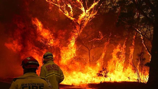 Twitter Users Wanting to Set Up Humble Bundle for the Australian Bushfire Crisis